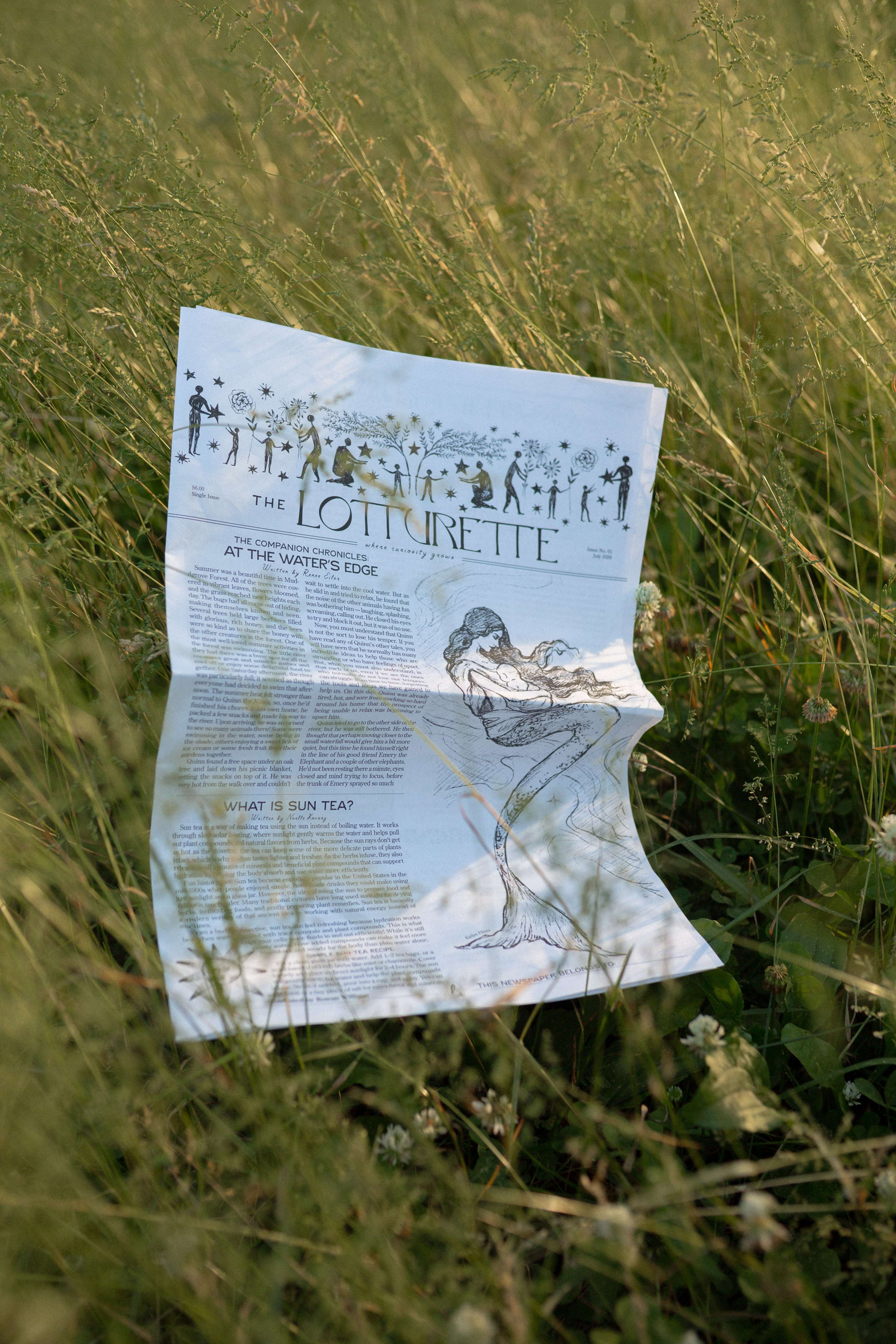 Newspaper Subscription